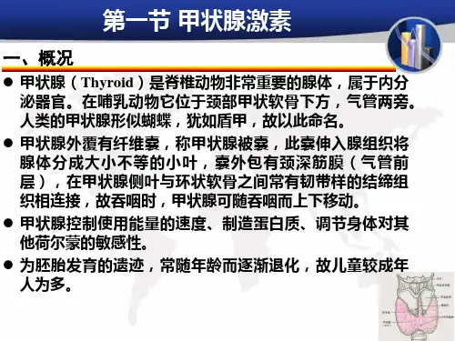 甲状腺激素及抗甲状腺药复习