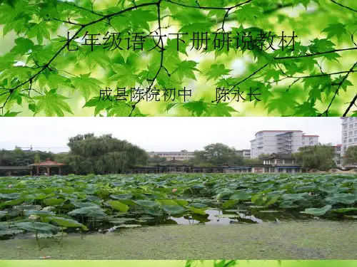 七年级下册语文知识树