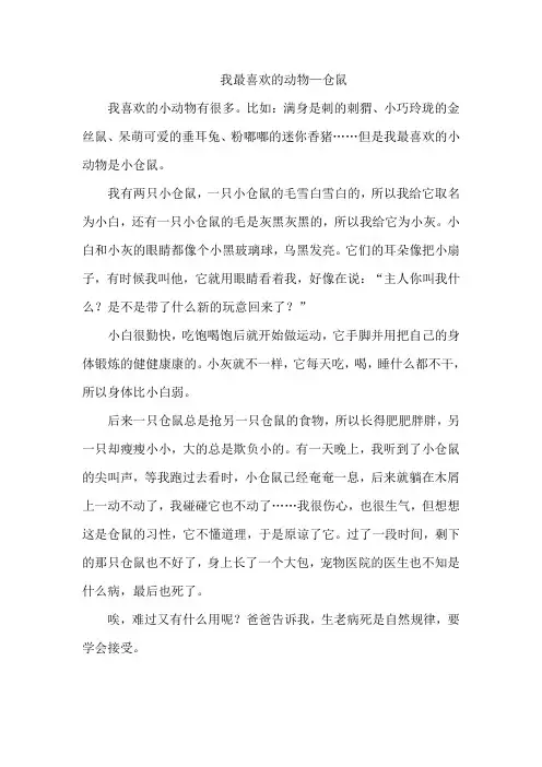 我最喜欢的动物450字作文写仓鼠