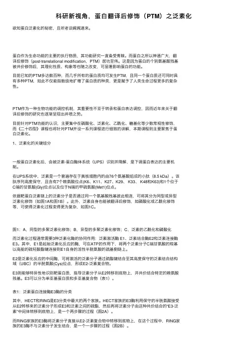 科研新视角，蛋白翻译后修饰（PTM）之泛素化