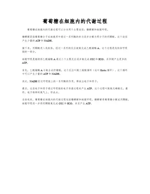 葡萄糖在细胞内的代谢过程
