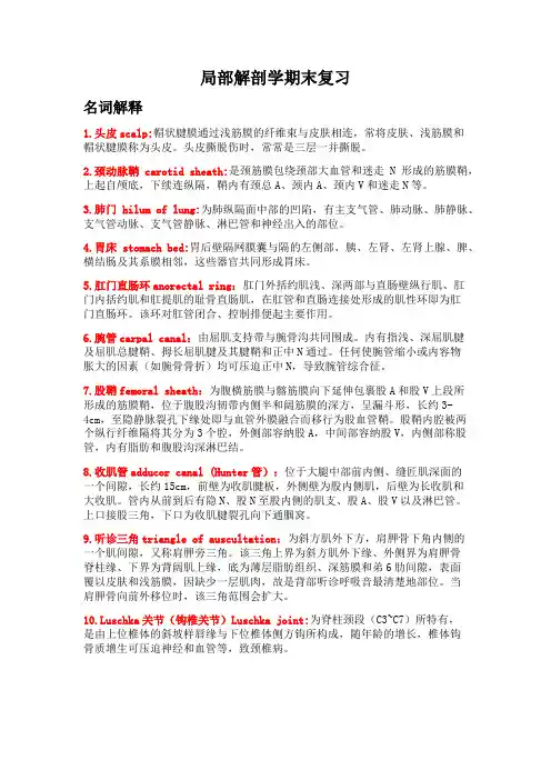 昆医局部解剖学期末复习