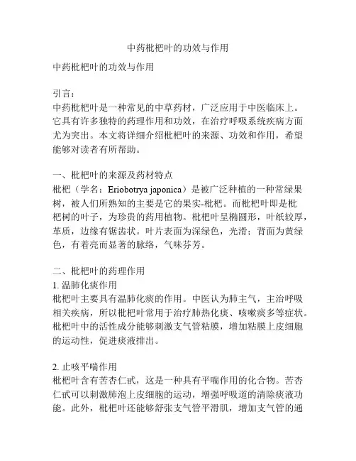 中药枇杷叶的功效与作用