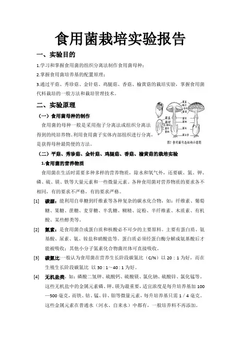 食用菌栽培实验报告