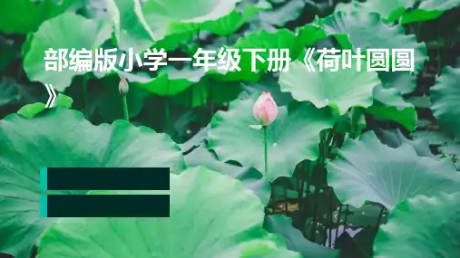 12荷叶圆圆 说课课件(共32张PPT)