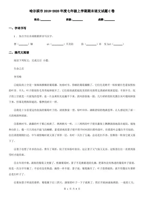 哈尔滨市2019-2020年度七年级上学期期末语文试题C卷
