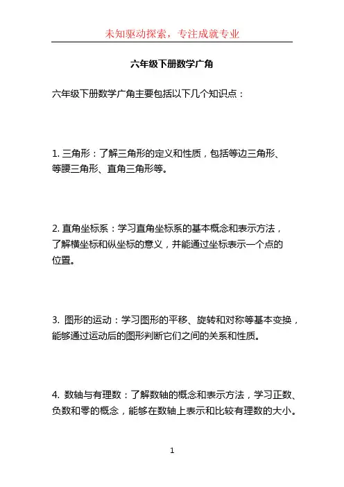 六年级下册数学广角