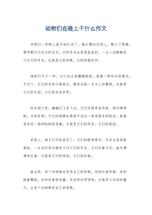 动物们在晚上干什么作文