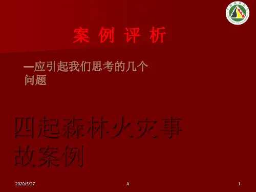 四起森林火灾事故案例