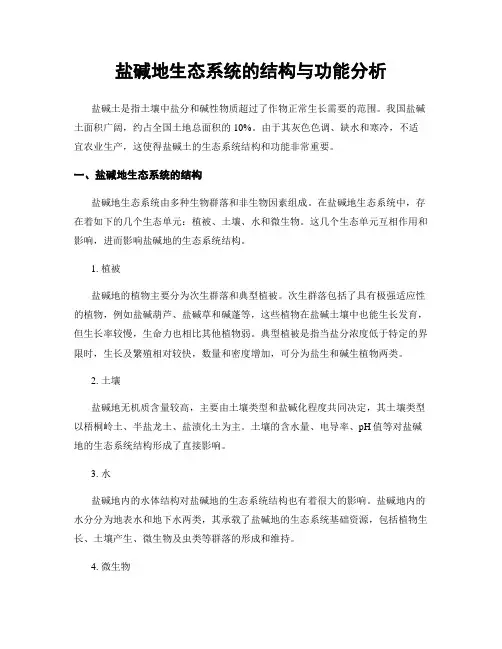 盐碱地生态系统的结构与功能分析