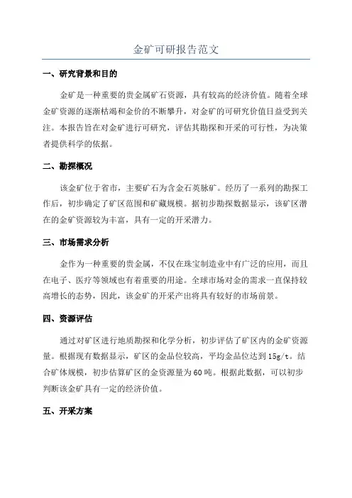 金矿可研报告范文