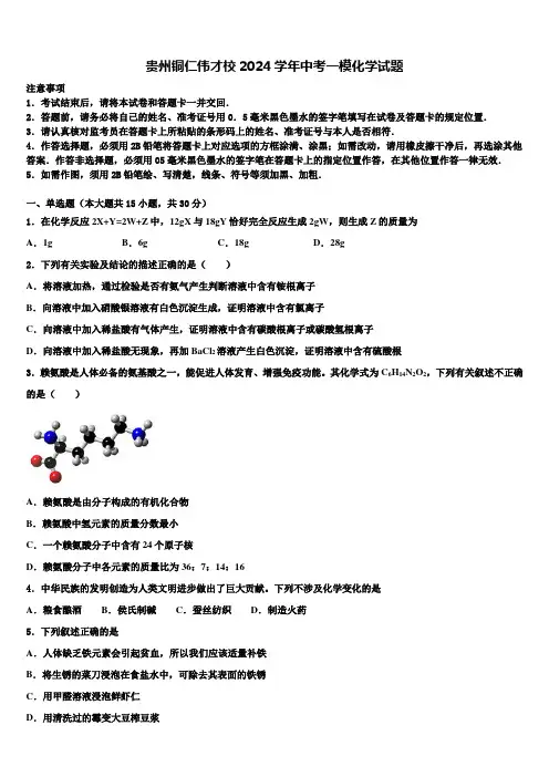 贵州铜仁伟才校2024届中考一模化学试题含解析