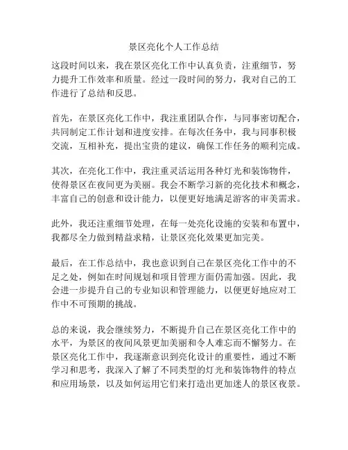 景区亮化个人工作总结