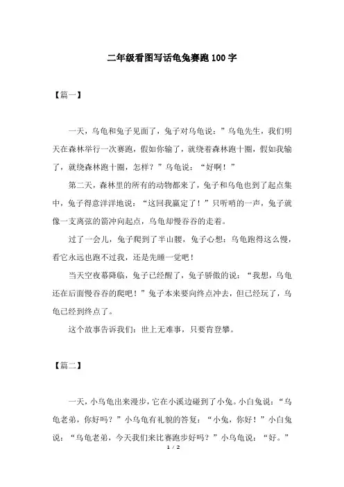 二年级看图写话龟兔赛跑100字