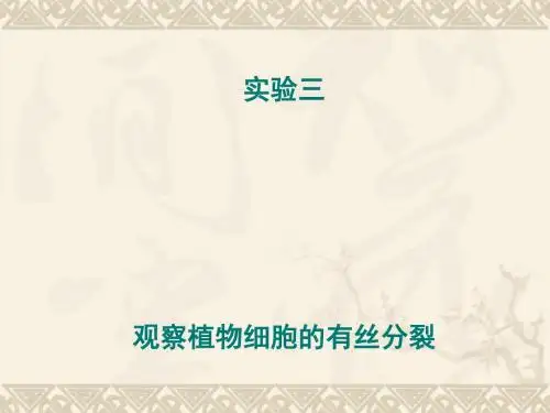初中七年级(初一)生物 观察植物细胞的有丝分裂