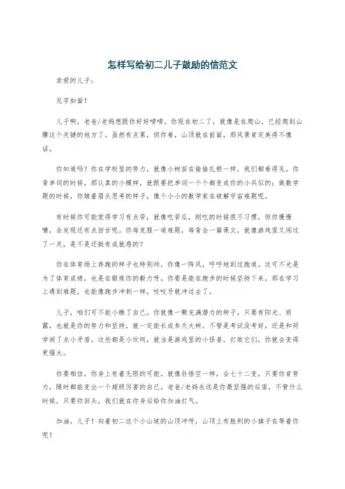 怎样写给初二儿子鼓励的信范文 2