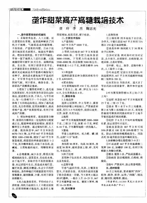 垄作甜菜高产高糖栽培技术