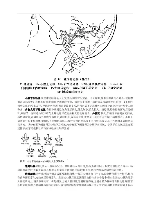 桥小脑角解剖