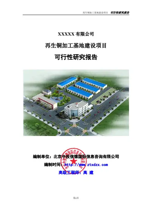 再生铜加工基地建设项目可行性研究报告
