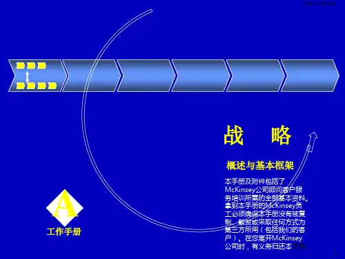 终稿-麦肯锡-战略、组织、营销、团队咨询培训手册