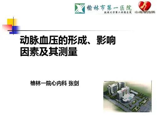 血压的形成、影响因素及测量