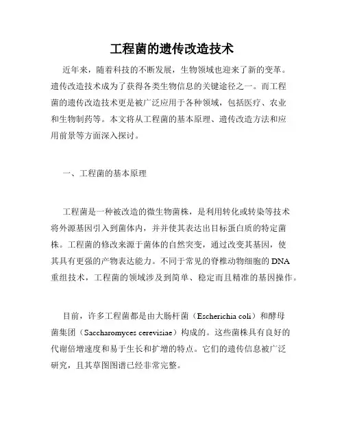 工程菌的遗传改造技术