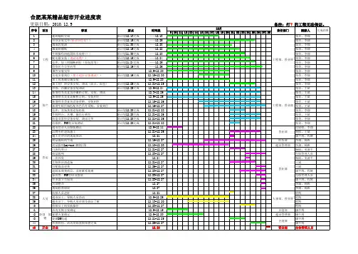 合肥某某精品超市开业进度表