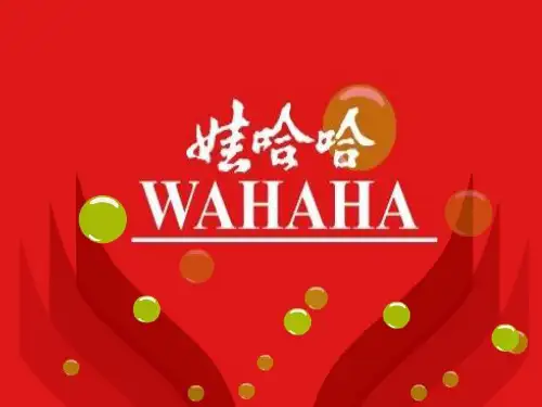娃哈哈公司英文简介