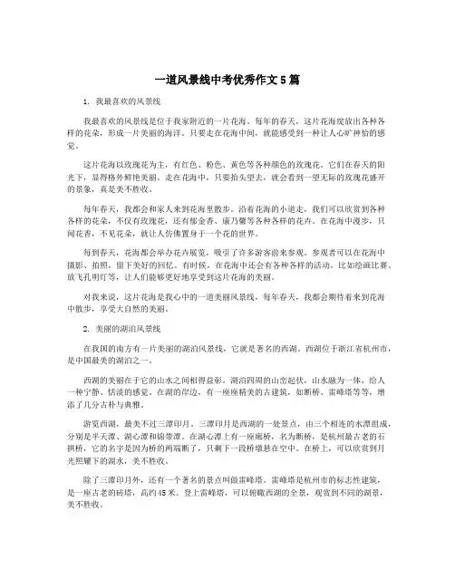 一道风景线中考优秀作文5篇