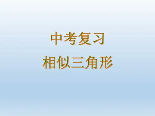 初中数学中考复习——二次函数相似三角形