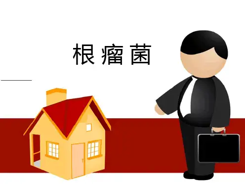 根瘤菌