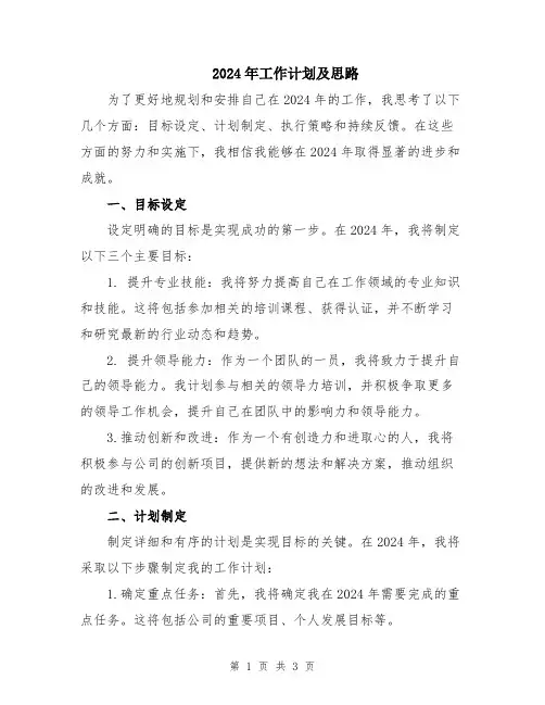 2024年工作计划及思路