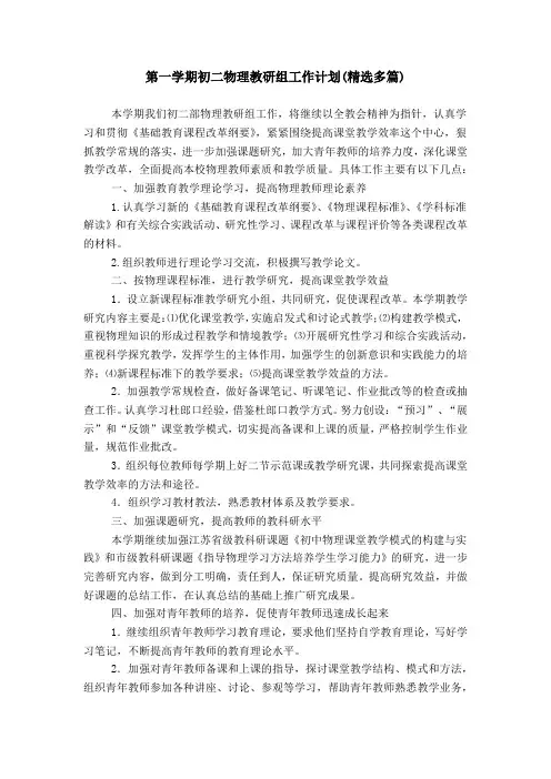 第一学期初二物理教研组工作计划(精选多篇)