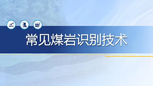 2.2.32.2.3常见煤岩识别技术