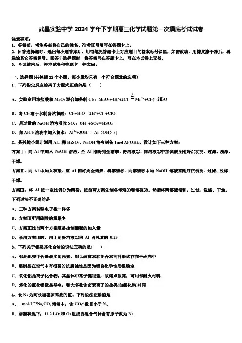 武昌实验中学2024学年下学期高三化学试题第一次摸底考试试卷含解析