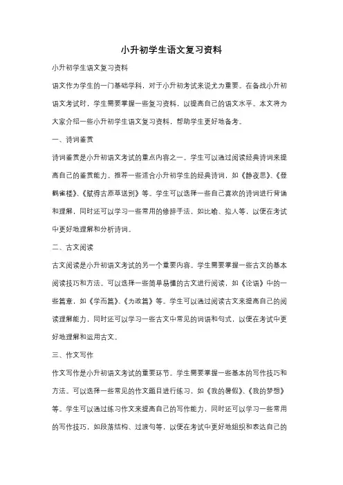 小升初学生语文复习资料