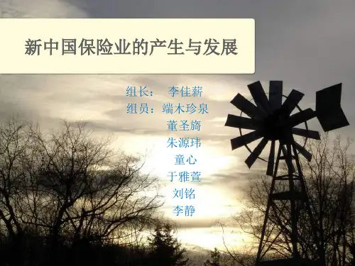 保险ppt