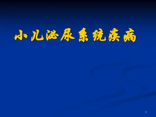 小儿泌尿系统疾病ppt课件