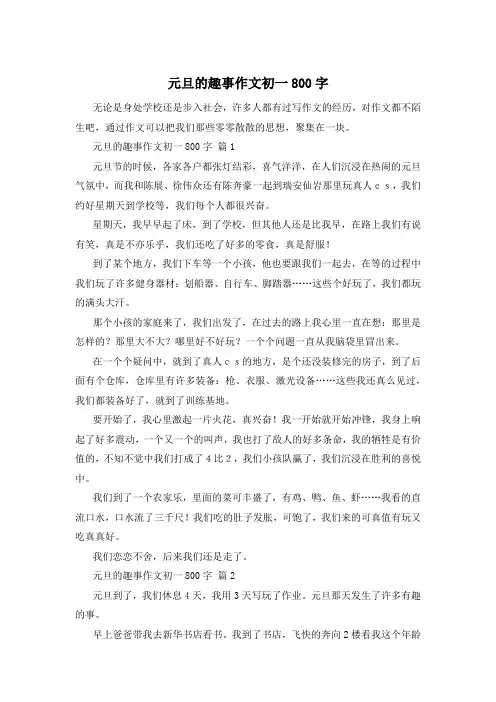 元旦的趣事作文初一800字