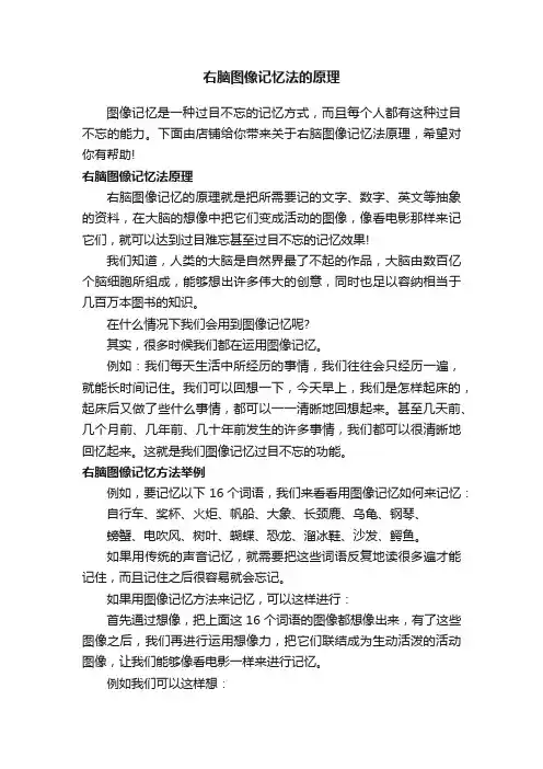 右脑图像记忆法的原理