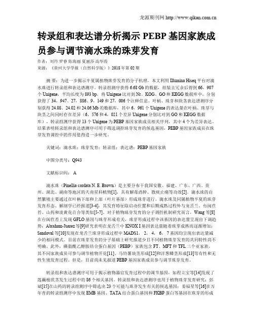 转录组和表达谱分析揭示PEBP基因家族成员参与调节滴水珠的珠芽发育