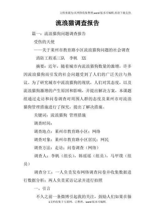 流浪猫调查报告
