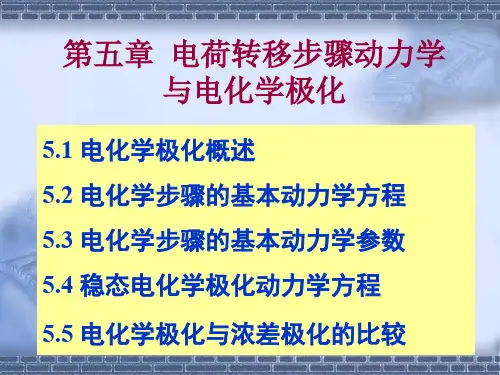 电化学-第五章电荷转移步骤动力学与电化学极化(极力推荐)
