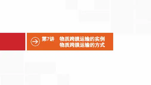 第7讲 物质跨膜运输的实例 物质跨膜运输的方式