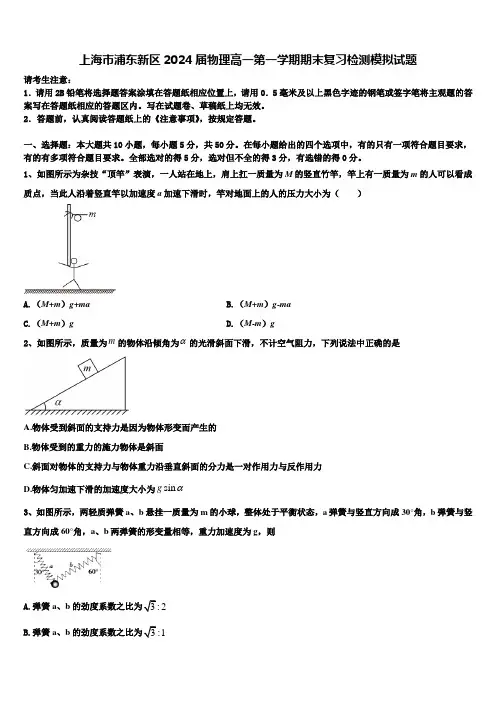 上海市浦东新区2024届物理高一第一学期期末复习检测模拟试题含解析