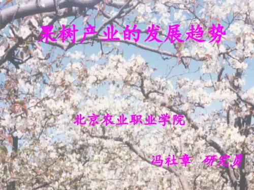 果树产业的发展趋势PPT课件