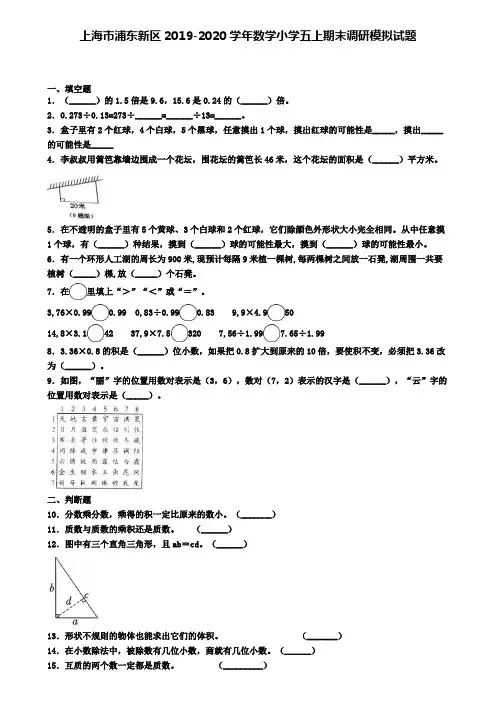 上海市浦东新区2019-2020学年数学小学五上期末调研模拟试题