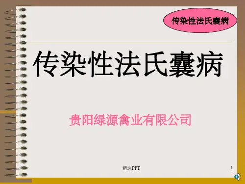 《鸡传染性法氏囊病》培训