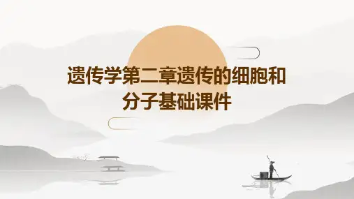 遗传学第二章遗传的细胞和分子基础课件