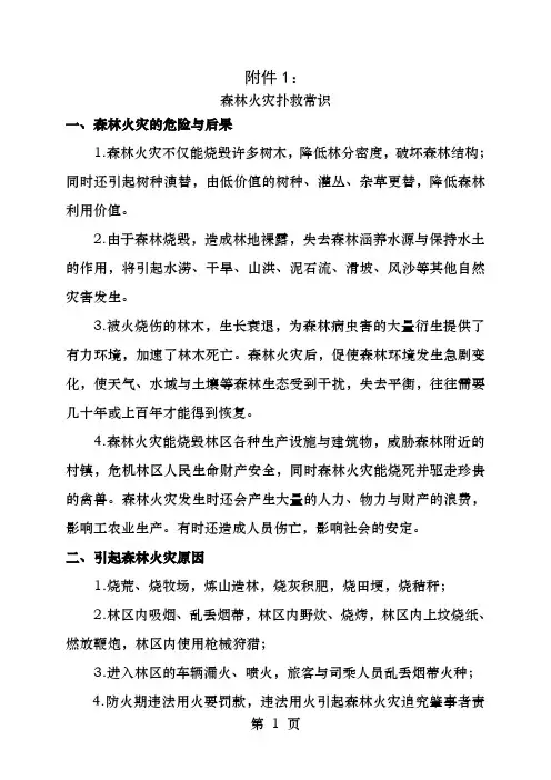 森林火灾扑救常识